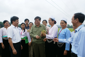 Đồng chí Hoàng Việt Cường, nguyên Bí thư Tỉnh ủy tìm hiểu tình hình sản xuất nông nghiệp tại xã Tân Lập (Lạc Sơn).