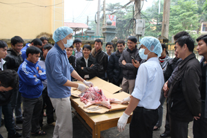 Dự án PSARD đã mở lớp tập huấn nâng cao năng lực mổ khám, phòng trị bệnh cho đội ngũ thú y viên phụ trách các điểm dịch vụ thú y trên địa bàn huyện Tân Lạc.
