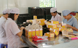 Công ty CP Y - Dược phẩm Sông Đà chú trọng trang bị phương tiện bảo hộ cho người lao động.