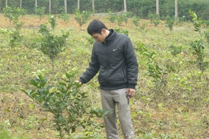 Năm 2014, huyện Lạc Sơn hỗ trợ ngân sách trồng thí điểm 2 ha cam ở xã Tân Mỹ.

