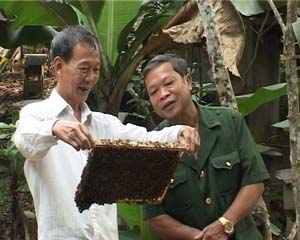 CCB Trần Văn Thiện, xóm Văn Tiến, xã Dân Hạ (Kỳ Sơn) giới thiệu với hội viên CCB về kỹ thuật nuôi ong lấy mật.

