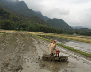 Nông dân xóm Lác, xã Chiềng Châu (Mai Châu) chuẩn bị làm đất cày ải chuẩn bị gieo cấy vụ chiêm xuân.