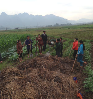 Cán bộ khuyến nông và nhân dân xã Hạ Bì (Kim Bôi) thực hành kỹ thuật ủ rơm, rạ làm phân hữu cơ vi sinh.

