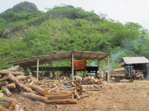Huyện Yên Thủy đang nỗ lực giảm tác động xấu tới môi trường từ các cơ sở SX -KD trên địa bàn. ảnh: Cơ sở sản xuất ván ép ánh Thủy, xã Yên Lạc được đặt ở vị trí biệt lập với KDC.

