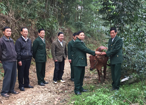 Lãnh đạo và hội viên Hội CCB huyện Lạc Thủy trao bò giống cho gia đình CCB Đặng Đình Khương, khu phố Thắng Lợi, TT Thanh Hà.