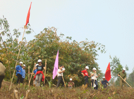 ĐVTN thành phố Hòa Bình tham gia trồng cây rừng góp phần BVMT sống