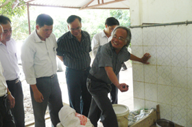 Ông Nguyễn Gia Tôn, Chủ nhiệm HTX Phương Liệt, xã Cao Dương (Lương Sơn) giới thiệu mô hình nuôi ba ba thương phẩm.
