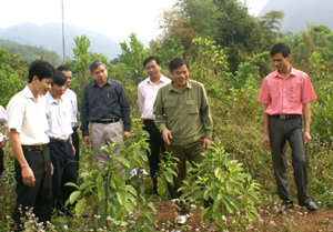 Đồng chí Hoàng Việt Cường, Bí thư Tỉnh ủy, Chủ tịch HĐND tỉnh thăm vườn ươm thực nghiệm  của Trung tâm Giống cây trồng Hòa Bình.