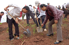 Giáo viên và học sinh huyện Đà Bắc tham gia trồng cây.