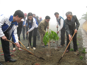 Cán bộ, CNVC và ĐVTN huyện Tân Lạc tham gia Tết trồng cây quanh công sở, trường học.