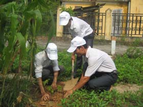 Đoàn viên thanh niên thị trấn Kỳ Sơn tích cực tham gia Tết trồng cây xuân Tân Mão.