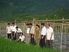 Lãnh đạo xã Mai Hạ thường xuyên quan tâm, chỉ đạo sản xuất trực tiếp trên đồng ruộng.