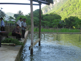 Gia đình ông Hà Văn Chung có 1000 m2 diện tích ao nuôi cá dầm xanh cho thu nhập cao.