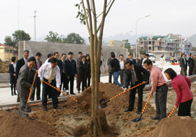 Đồng chí Bí thư Tỉnh ủy trồng cây lưu niệm tại khuôn viên mới của trường Chính trị tỉnh
