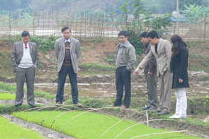 Đồng chí Hoàng Văn Tứ, Giám đốc Sở NN&PTNT và lãnh đạo huyện Mai Châu kiểm tra tình hình sản xuất tại xóm Hịch, xã Mai Hịch (Mai Châu).