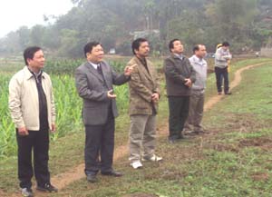 Đồng chí Bùi Văn Tỉnh, UVT.ư Đảng, Chủ tịch UBND tỉnh kiểm tra tình hình sản xuất nông nghiệp tại xã Tân Lập (Lạc Sơn)