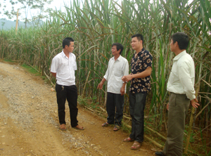 Trưởng thôn Kim Bắc 3 Lường Văn Thống và những trưởng thôn vùng Thung Rếch (Tú Sơn - Kim Bôi) trao đổi kinh nghiệm phát triển kinh tế nâng cao mức sống cho nhân dân.