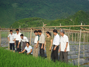 Huyện Mai Châu chú trọng việc áp dụng tiến bộ khoa học trên đồng ruộng. Năm 2011, toàn huyện cấy 2.021 ha, đạt 52,99 tạ/ha. Trong ảnh: Cán bộ và nhân dân xã Mai Hạ thăm mô hình trồng lúa lai.