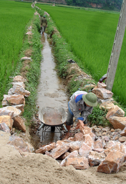 Trên diện tích trà lúa xuân chính vụ, nông dân xã Tòng Đậu (Mai Châu) tích cực nạo vét, tu sửa hệ thống kênh mương, đảm bảo cung ứng đủ nước cho sản xuất.
