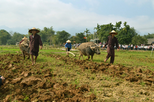 “Đường cày đầu tiên của năm” Giáp Ngọ 2014 tại lễ Khai hạ Mường Bi mang lại niềm tin và hy vọng  cho nhiều hộ nông dân huyện Tân Lạc về một năm sản xuất mưa thuận, gió hòa, mùa màng tươi tốt.