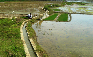 Hệ thống kênh mương xã Nhân Nghĩa (Lạc Sơn) được đầu tư kiên cố, đáp ứng nhu cầu sản xuất nông nghiệp của nhân dân.

