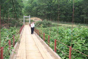 Trên địa bàn xã huyện Yên Thủy có 14 cầu treo. Trong ảnh cầu treo xóm Cương, xã Hữu Lợi bề mặt rộng 3 m, dài 40 m. Cầu phục vụ nhu cầu đi lại khoảng 400 người dân địa phương.