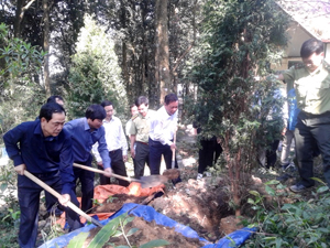 Các đồng chí lãnh đạo tỉnh trồng cây tại Đền thờ Chủ tịch Hồ Chí Minh tại núi Ba Vì, huyện Ba Vì (Hà Nội).