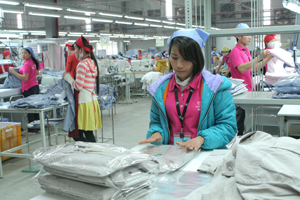 Nhà máy Esquel Việt Nam chuyên sản xuất hàng may mặc tại KCN Lương Sơnthực hiện giá trị xuất khẩu 30 triệu USD, giải quyết việc làm cho trên 2.800 lao động.