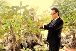 Ông Korikawa Takeru chăm sóc cây cảnh đón Tết Việt.