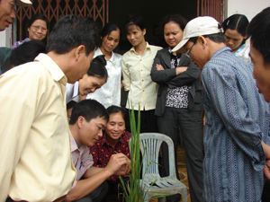 Tiến sỹ Nguyễn Hồng Yến (người thứ 2 từ trái sang) thường xuyên về cơ sở hướng dẫn nhân dân cách phòng sâu bệnh cho lúa.