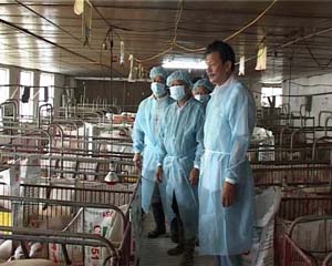 CCB Phan Tấn Thành, xóm Mỏ, xã Dân Hạ (người ngoài cùng bên phải) giới thiệu với lãnh đạo và hội viên CCB huyện Kỳ Sơn về hệ thống các công trình chuồng trại chăn nuôi lợn của gia đình.

