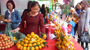 Lễ hội cam Cao Phong lần thứ nhất năm 2015 thu hút sự quan tâm của trên 1 vạn người trong và ngoài tỉnh. 

 

