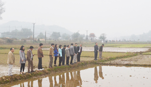 Đoàn công tác kiểm tra tình hình gieo cấy lúa xuân trên địa bàn thôn Liên Hồng 1, xã Khoan Dụ.
