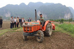 Đoàn kiểm tra việc tiến độ trồng màu vụ xuân trên đồng đất thôn Á Đồng, xã Yên Trị.

