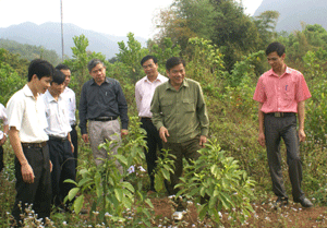 Đồng chí Bí thư Tỉnh ủy kiểm tra vườn thực nghiệm của Trung tâm giống cây trồng tỉnh.