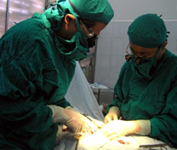 Các BS đang tiến hành phẫu thuật cho bệnh nhân bị ung thư thanh quản tại TPHCM.