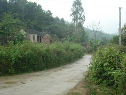 Cảnh vắng lặng thường thấy ở xóm 2 Bồng Giang xã Đức Giang