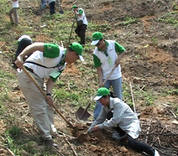 Ngày hội trồng rừng theo Cơ chế phát triển sạch ở huyện Cao Phong