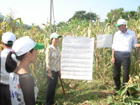 Cán bộ xã Mường Chiềng tham gia lớp tập huấn IPM trên cây ngô để nâng cao trình độ KHKT.