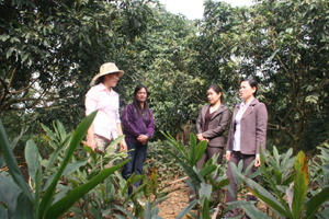 Cán bộ Hội phụ nữ huyện Lương Sơn thăm và trao đổi kinh nghiệm phát triển kinh tế trang trại với gia đình chị Nguyễn Thị Mai, xóm Đồng Chanh, xã Nhuận Trạch.