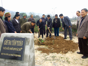 Đồng chí Bùi Văn Cửu, Phó Chủ tịch UBND tỉnh và Hội Người cao tuổi trồng cây đa Tân Trào.

