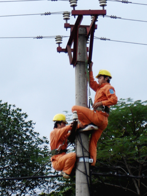 Công nhân Điện lực thành phố Hoà Bình kiểm tra chất lượng đường dây tải điện để đảm bảo hiệu quả vận hành.