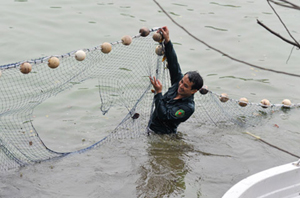 Tấm lưới bắt cụ Rùa hôm 8/3 được cho là không đảm bảo chất lượng.