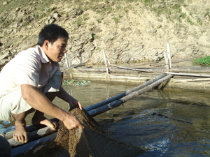 Nghề nuôi cá lồng giúp nhiều hộ gia đình ở xóm Mục, xã Tiền Phong (Đà Bắc) thoát nghèo.