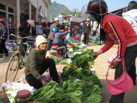 Giá rau tăng – cơ hội nông dân trồng rau cần tận dụng (Ảnh chụp tại Chợ đầu mối nông sản Cao Phong)