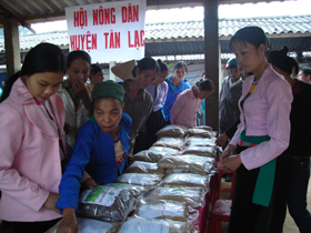 Hội chợ quảng bá giống nông hộ ở xã Nhân Nghĩa, huyện Lạc Sơn giúp bà con nông dân tiếp cận nhiều giống mới cho năng xuất cao.