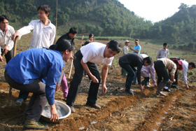 Cán bộ, phóng viên Báo Hòa Bình tham gia trồng ngô với nhân dân xã Vầy Nưa (Đà Bắc)