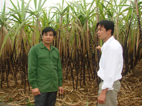 Anh Bùi Văn Năng (ảnh trái) - giải thưởng Lương Đình Của năm 2010, trao đổi kinh nghiệm phát triển kinh tế gia đình cho cán bộ đoàn xã Vĩnh Tiến - Kim Bôi.