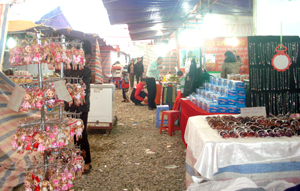 Hội chợ được tổ chức quy mô và quảng cáo rầm rộ nhưng không thu hút được nhiều người dân đến xem và mua sắm.
