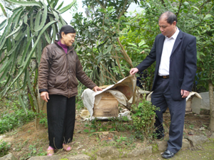 Mô hình nuôi ong lấy mật của gia đình đảng viên Hoàng Trung Anh, thị trấn Chi Nê mỗi năm cho thu nhập  trên 100 triệu đồng.